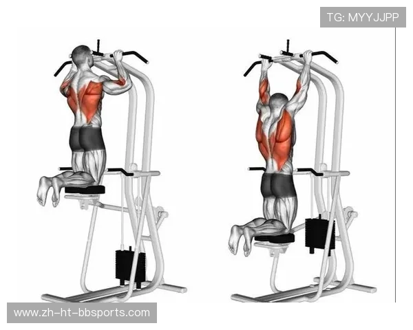 高拉力训练器的使用技巧与背部与肩部力量提升